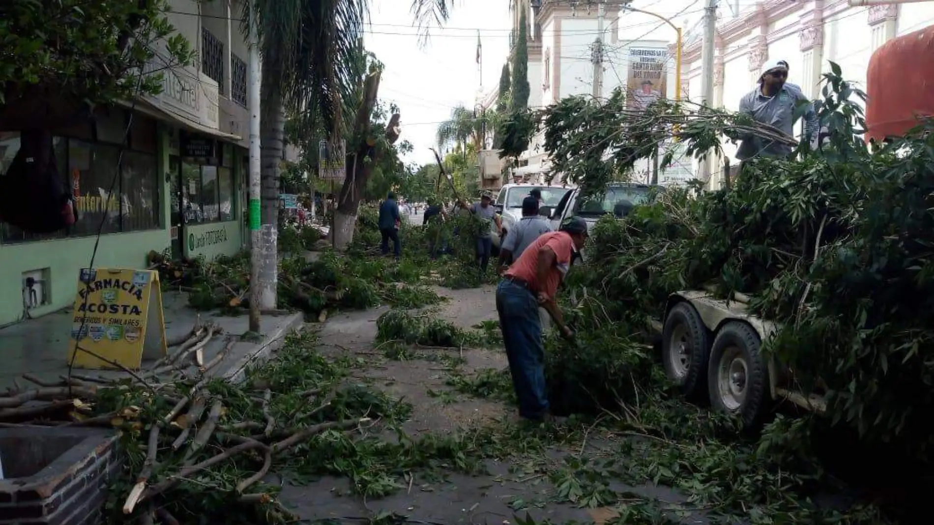 05 Árbol 1